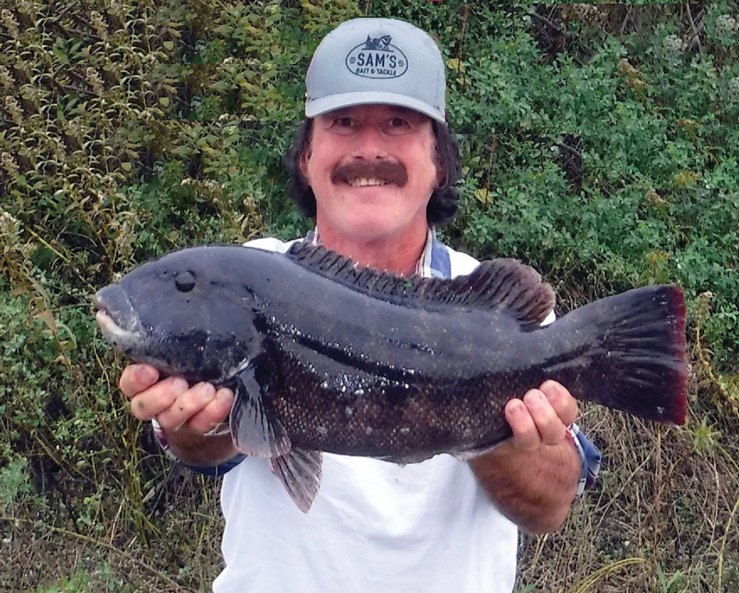 STRONG TAUTOG BITE:   Angler John Migliori with the seven pound, fourteen once tautog he caught fishing off Aquidneck Island last weekend. (Submitted photo)
